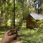 Турбаза «Молодость»: лес, пирс, кафе, настольный теннис, бильярд