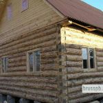 Срубы, дома, бани из окоренного бревна