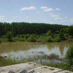 Фермерское хозяйство на 45 гектарах плодородной земли